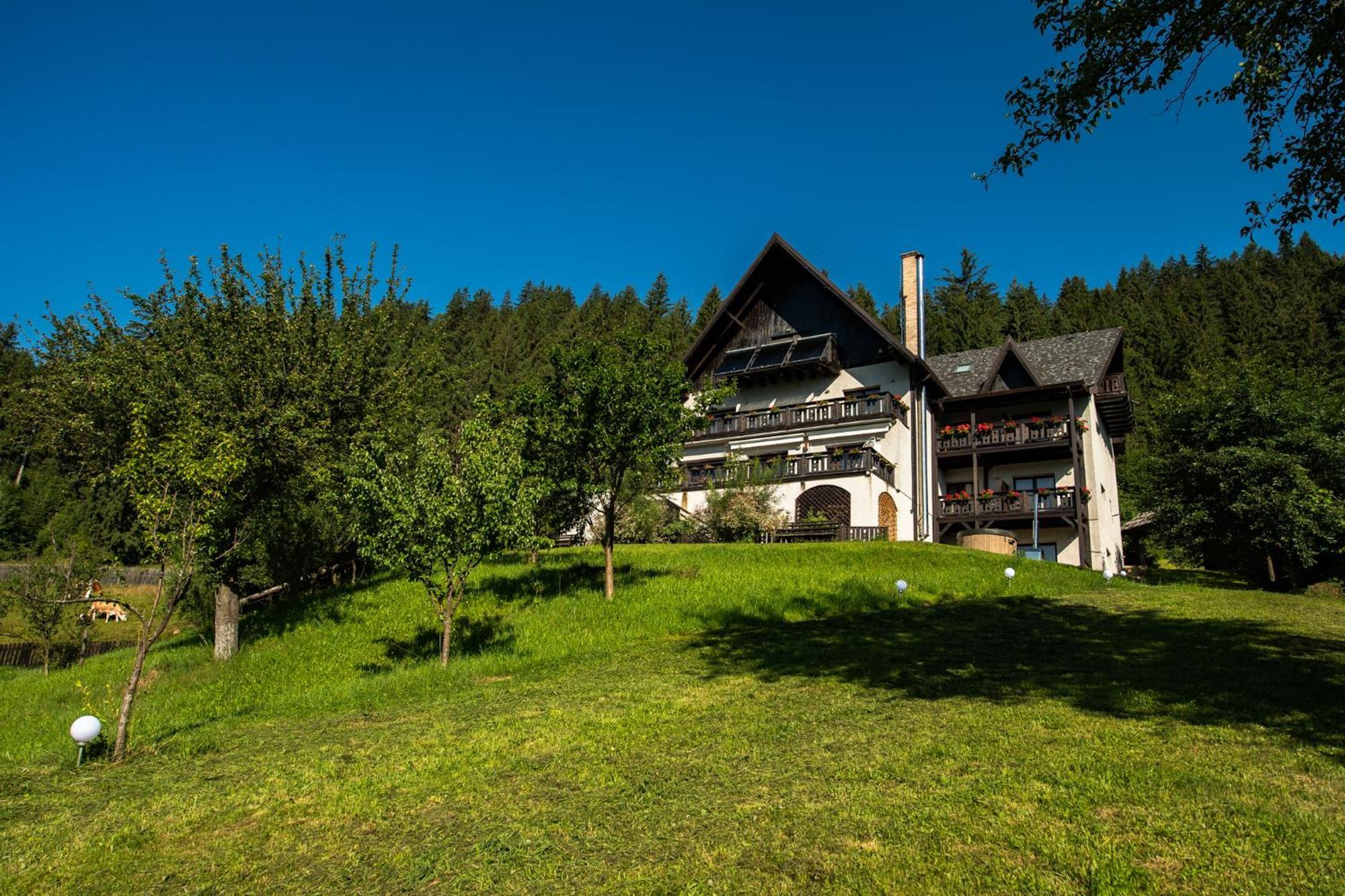 Bucovina Lodge Pension Vámfalu Kültér fotó