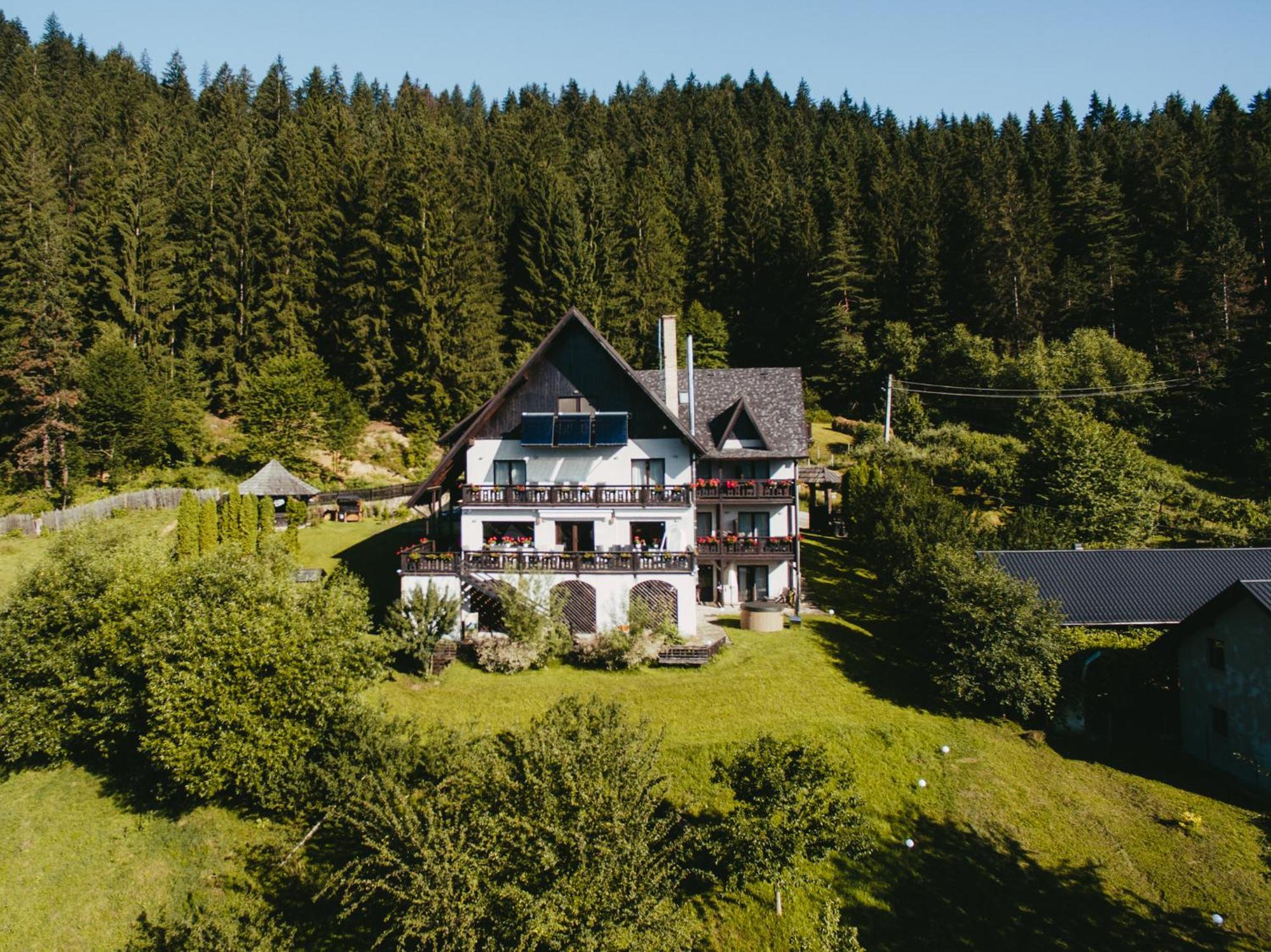 Bucovina Lodge Pension Vámfalu Kültér fotó