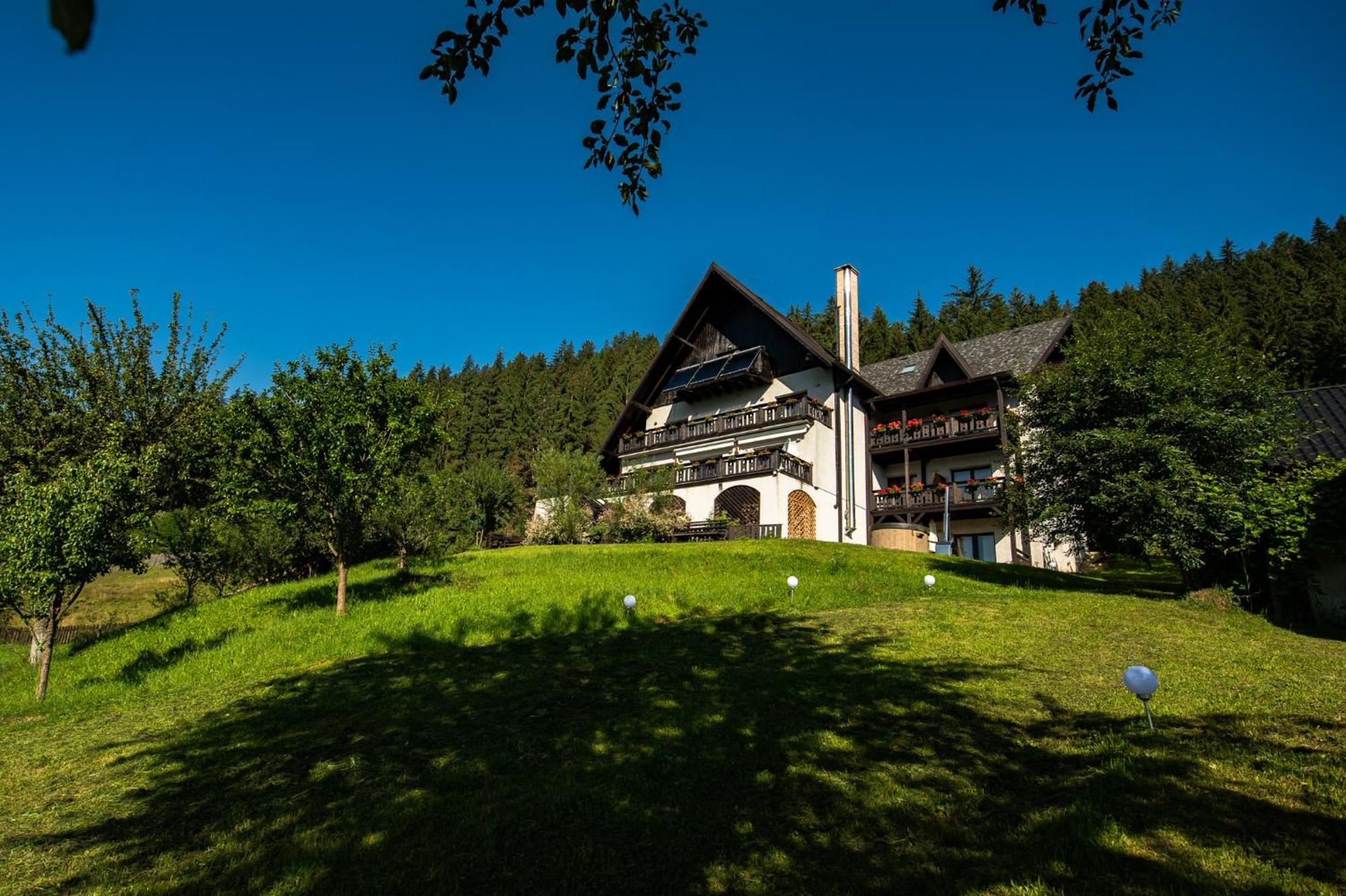 Bucovina Lodge Pension Vámfalu Kültér fotó